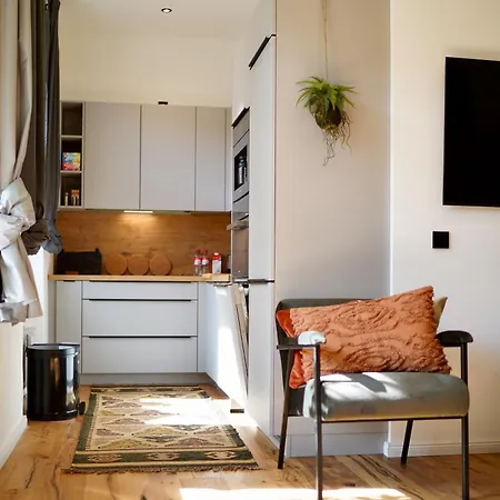 Apartment Edler Wohnraum Luxurioeses Im Zentrum Mit Balkon, Kaffeevollautomat, Klima & Parkplatz